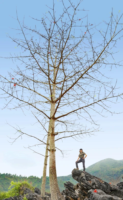 a man climbing up to a very tall tree