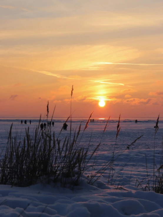 people at the beach in a sunset during winter