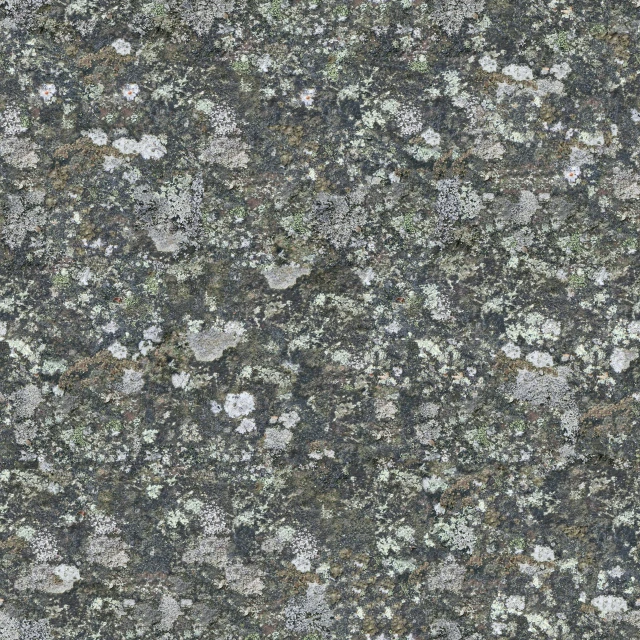 an image of textured, blue and white flowered marble