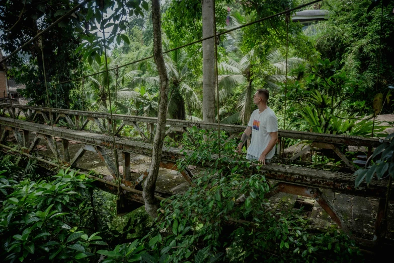 the man walks across the wooden bridge in a jungle