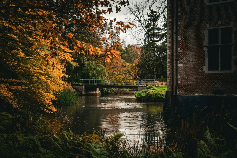 a river running next to a bridge and trees with orange leaves on the top