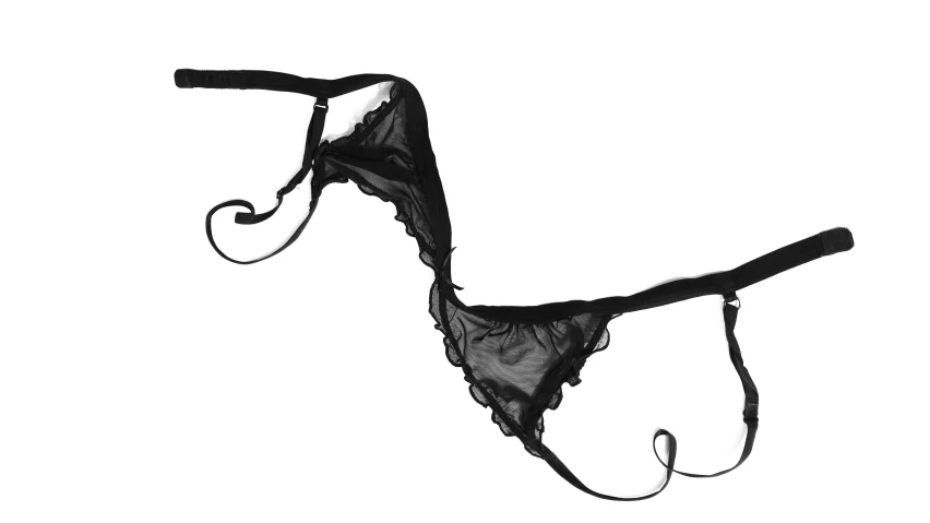 a black bikini brief panties is shown