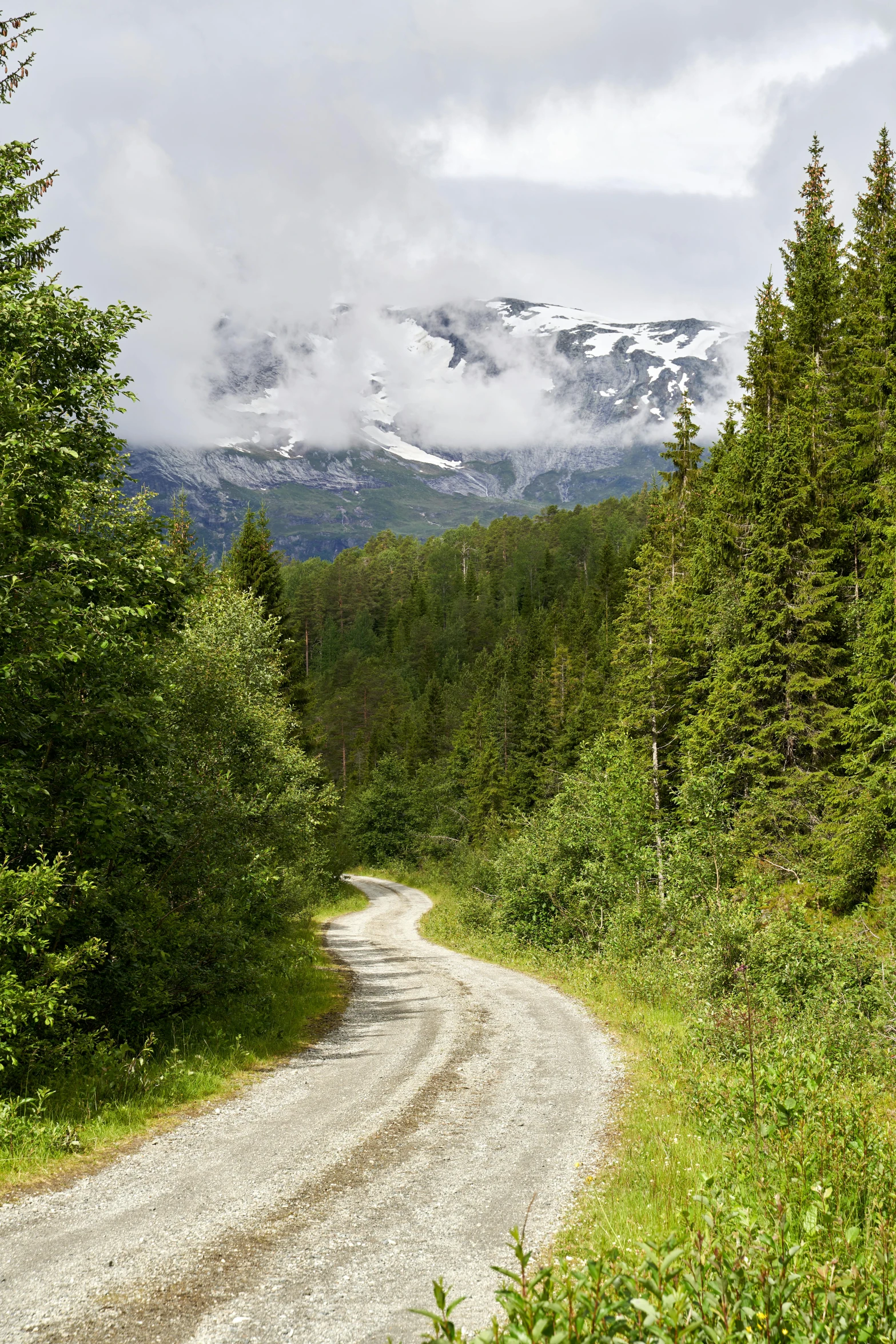 a dirt road with snow capped mountain in the distance