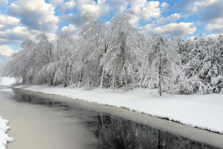 a stream running through a snowy forest on a clear day