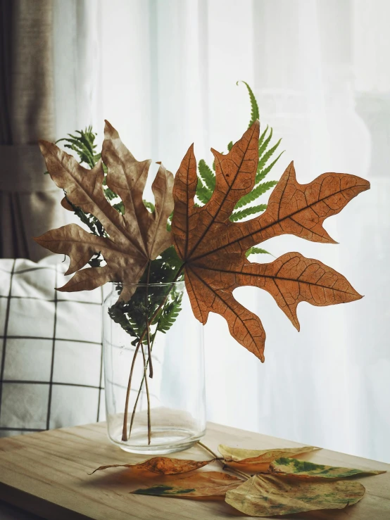 a glass vase full of leaves and ers