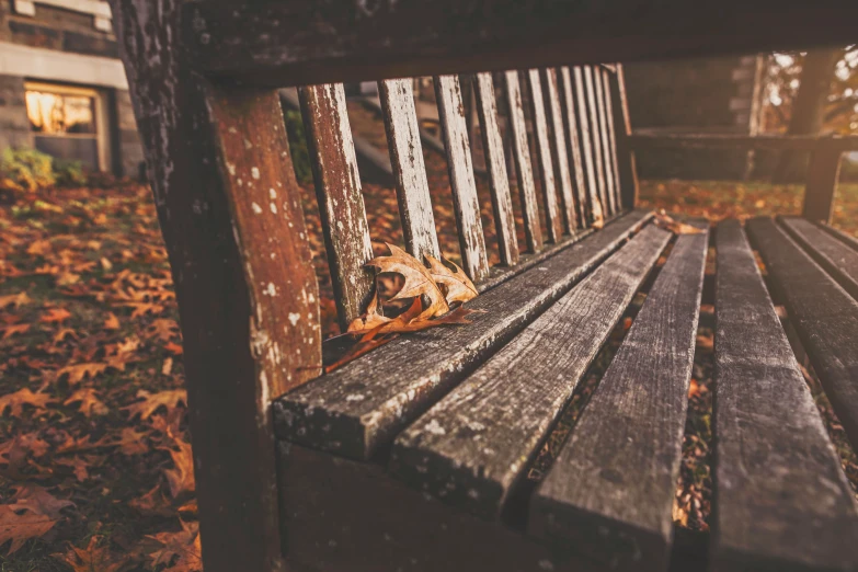 a worn up wooden bench with leaf on it