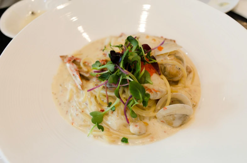 plate filled with food and garnished in white sauce