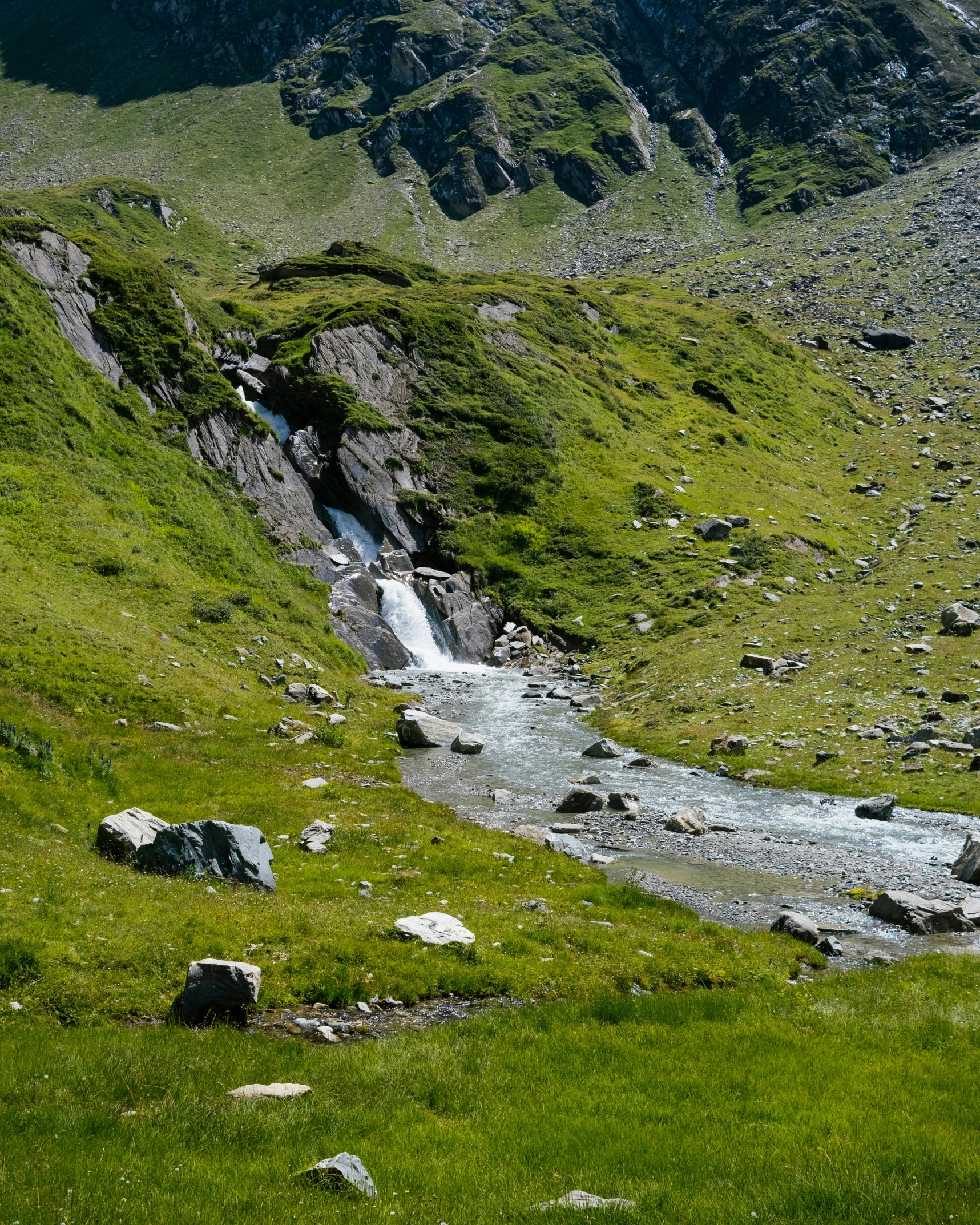 a stream running through a lush green mountain field