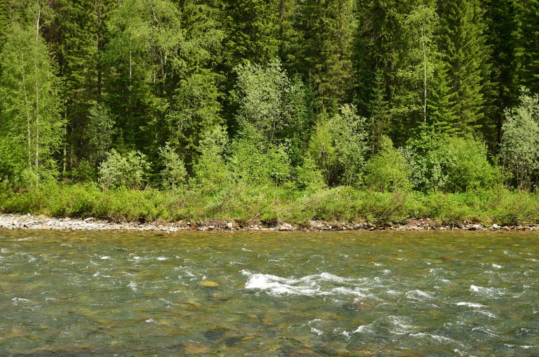 a group of people float across the water next to the forest