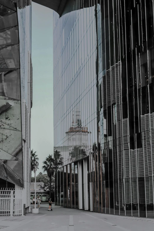 reflection of a building and palm trees in the glass