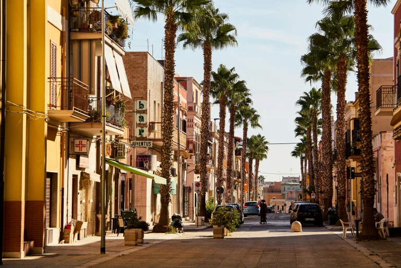 a street with palm trees on each side of the road