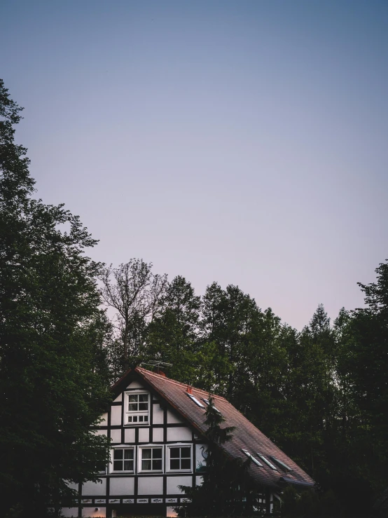 an unusual black and white roof on a house