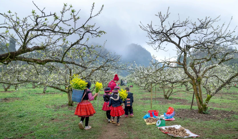 a bunch of people in costume walking through an orchard