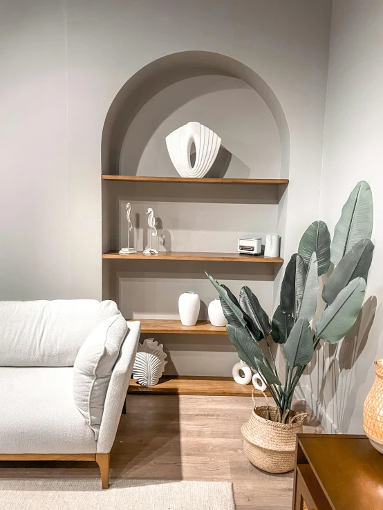 a room filled with furniture and plants on shelves