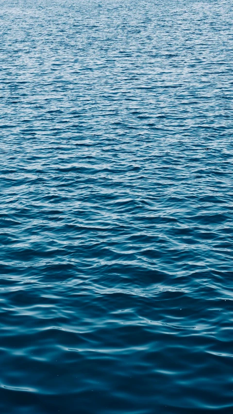 a boat traveling through the water next to shore