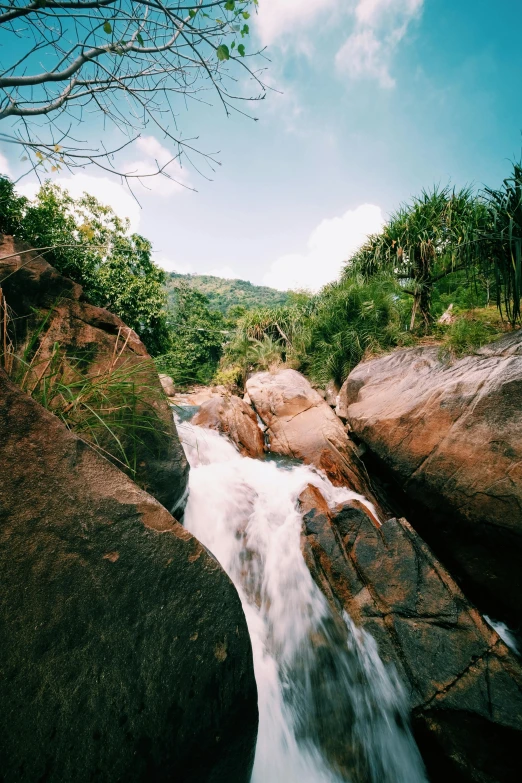 waterfall flowing down rocks into the forest