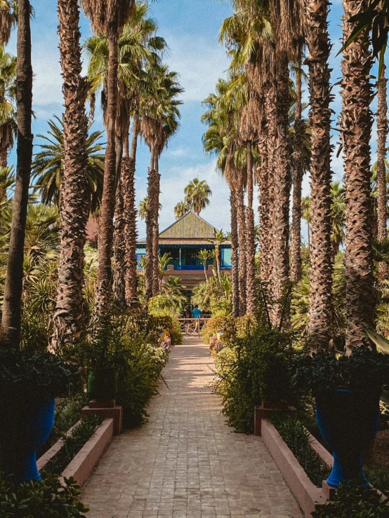 a walkway through trees next to an outdoor building