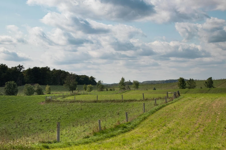 a man on a horse grazes in the field