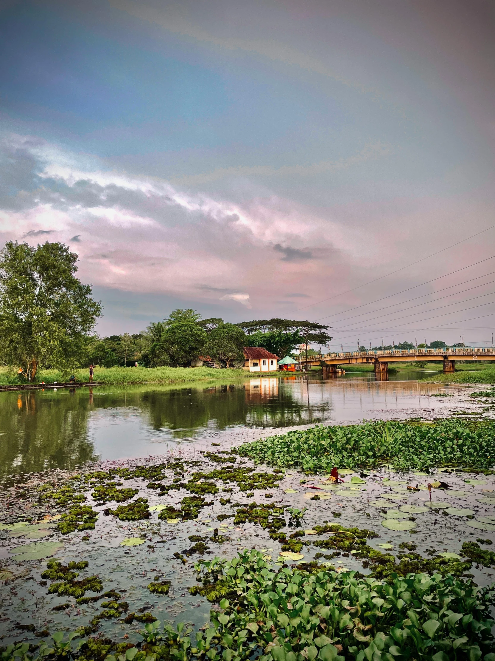 a view of a small island with a bridge and flowers