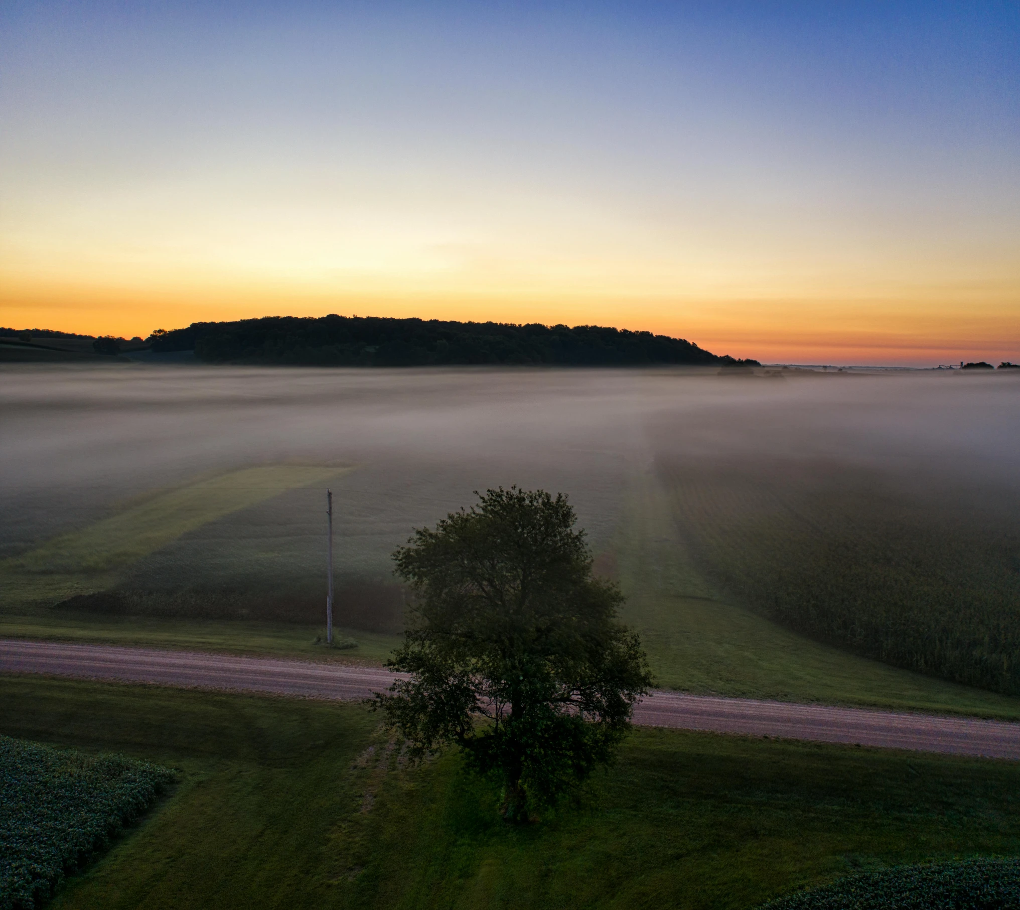 a foggy field with a tree and road in the foreground