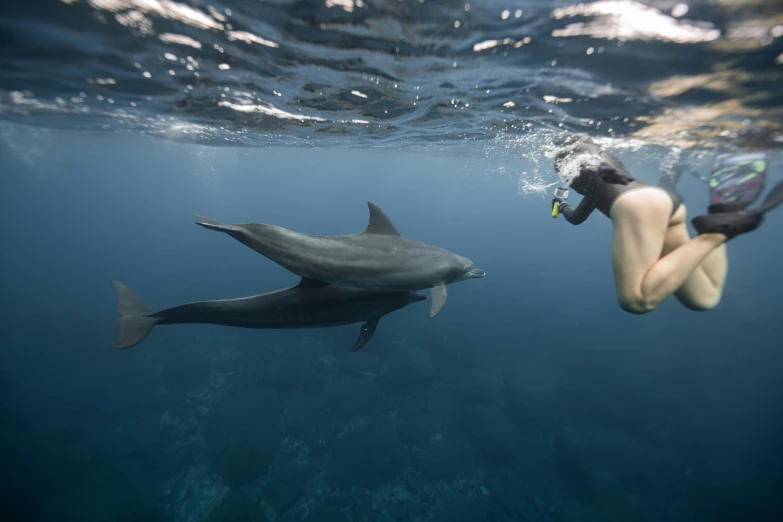 a woman snoozes under water next to a dolphin