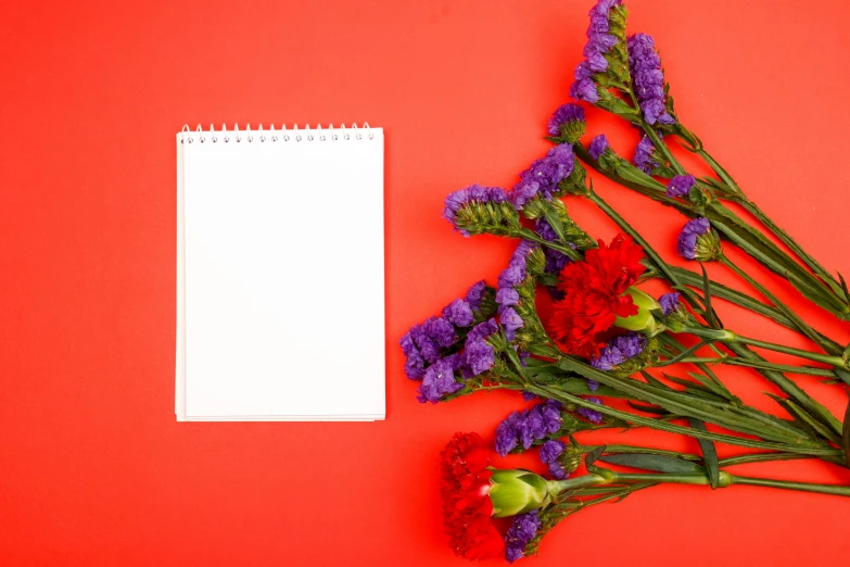 purple and red flowers next to a blank page on red