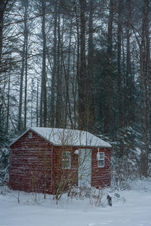 a rustic cabin in the woods in a winter wonderland