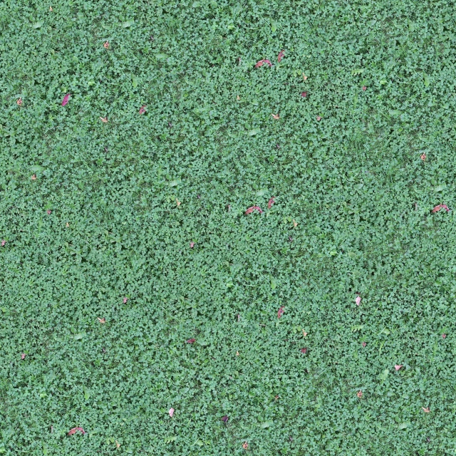 a small piece of green grass with lots of tiny flowers on it