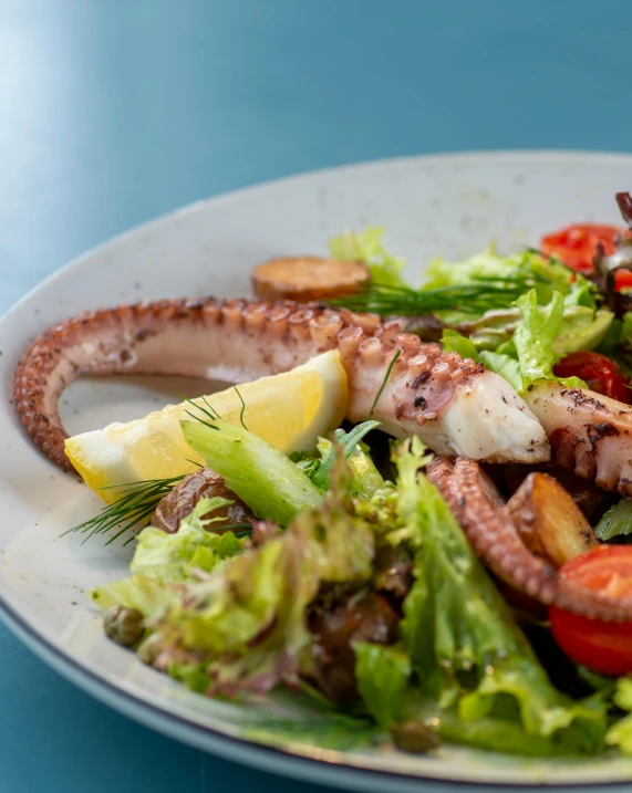 a white plate topped with an octo and salad