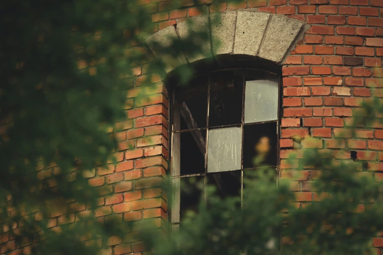 a window in a brick wall with a bird looking out