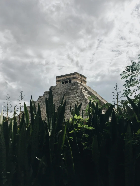 a tall tower sits atop some bushes on a cloudy day