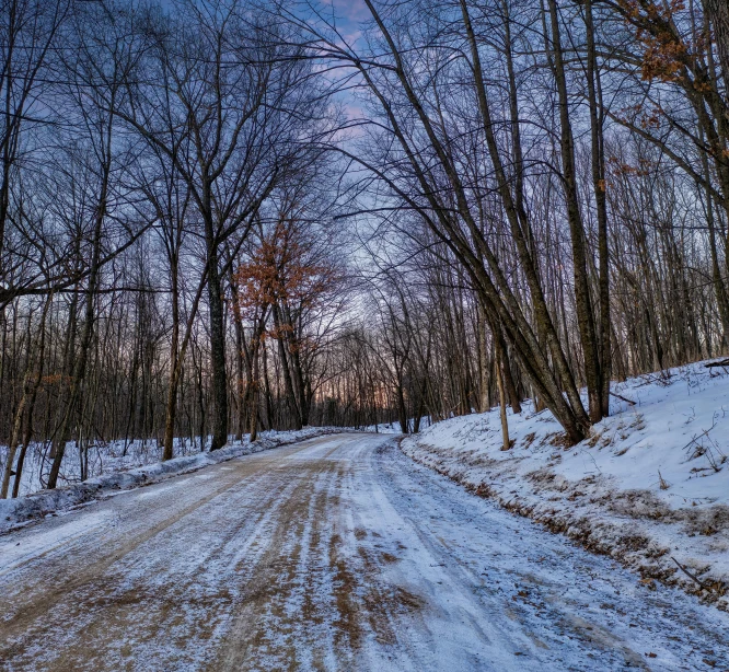 a road with trees and snow in the middle