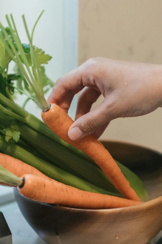 a person  up vegetables in a bowl