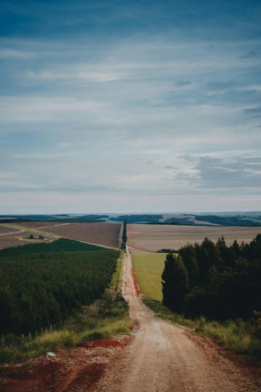 a dirt road near many fields and trees