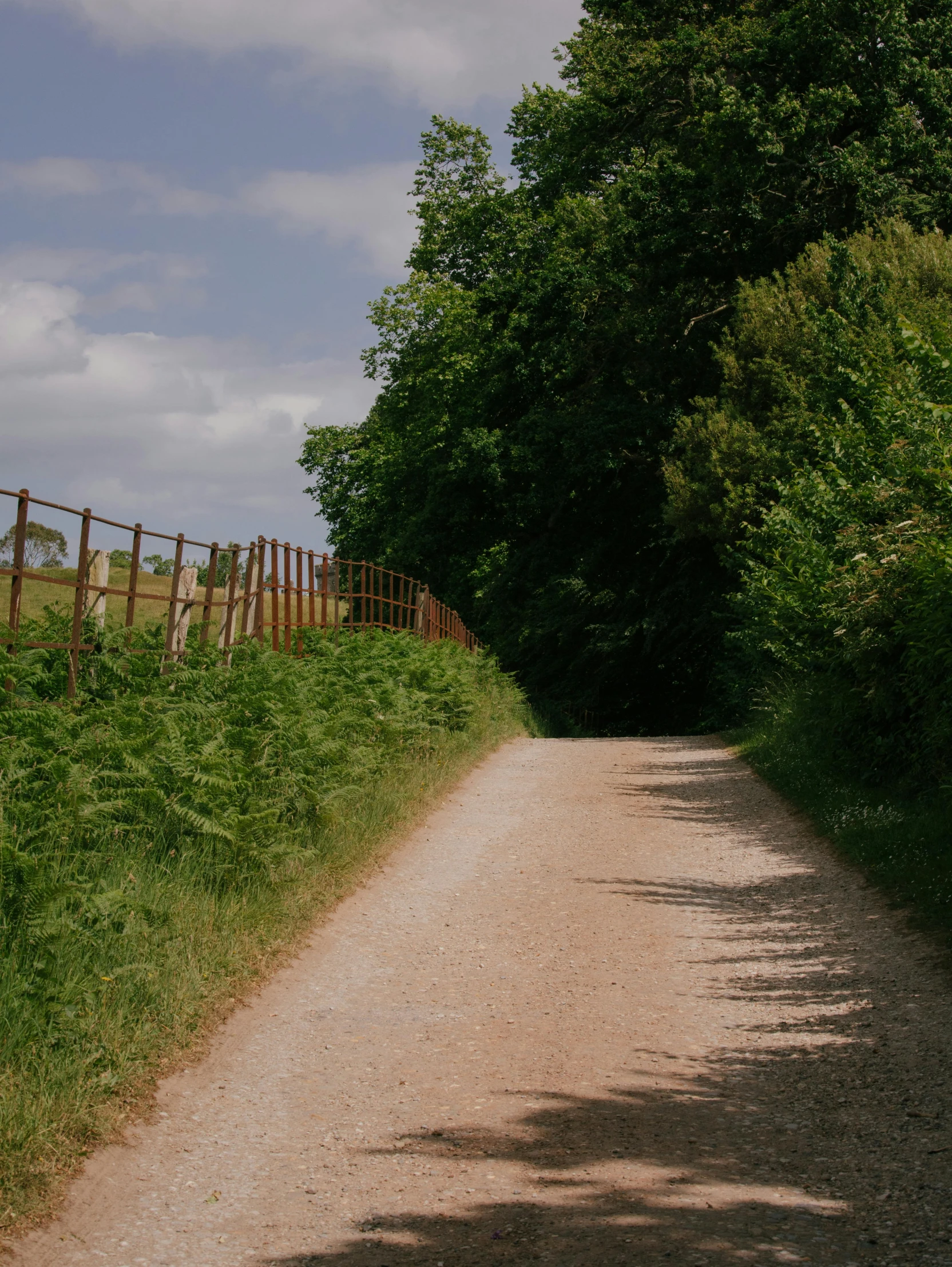 a horse is standing on the grass beside a dirt road