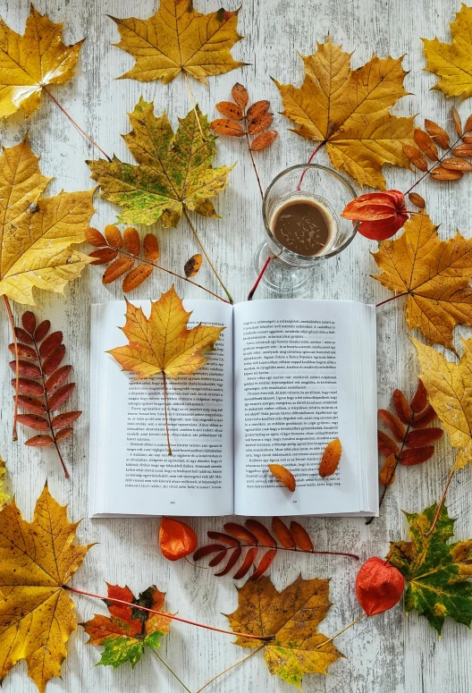 an open book surrounded by autumn leaves