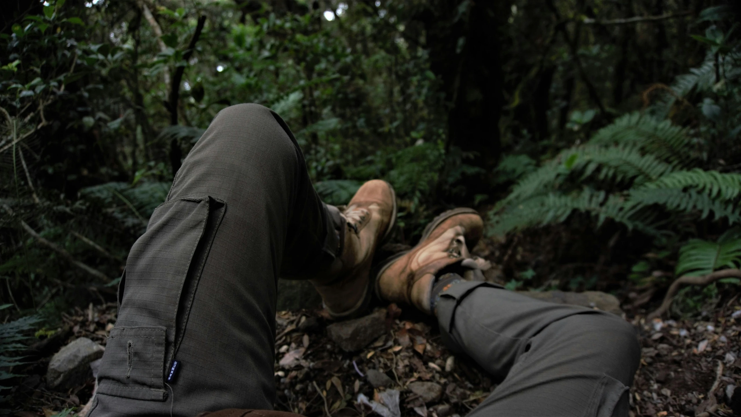 two legs and feet on ground in forest