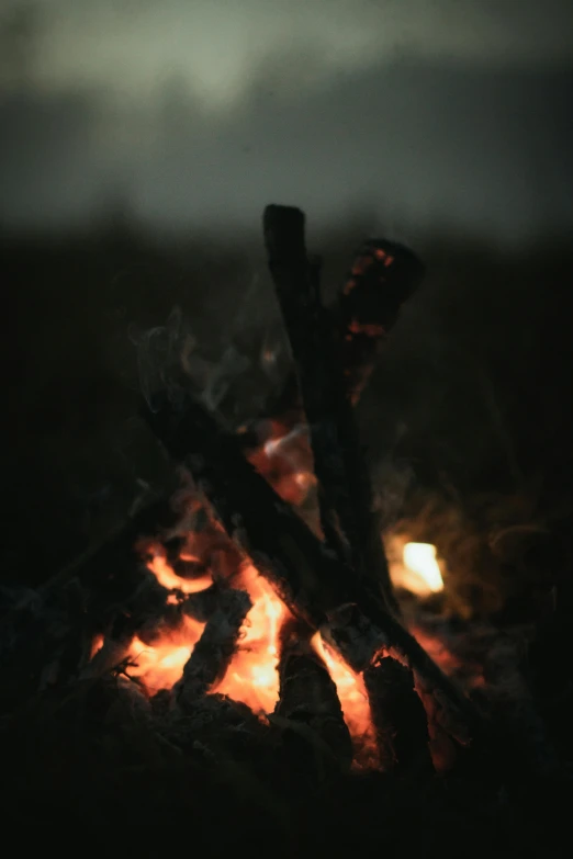 fire burning with blurry background in the night