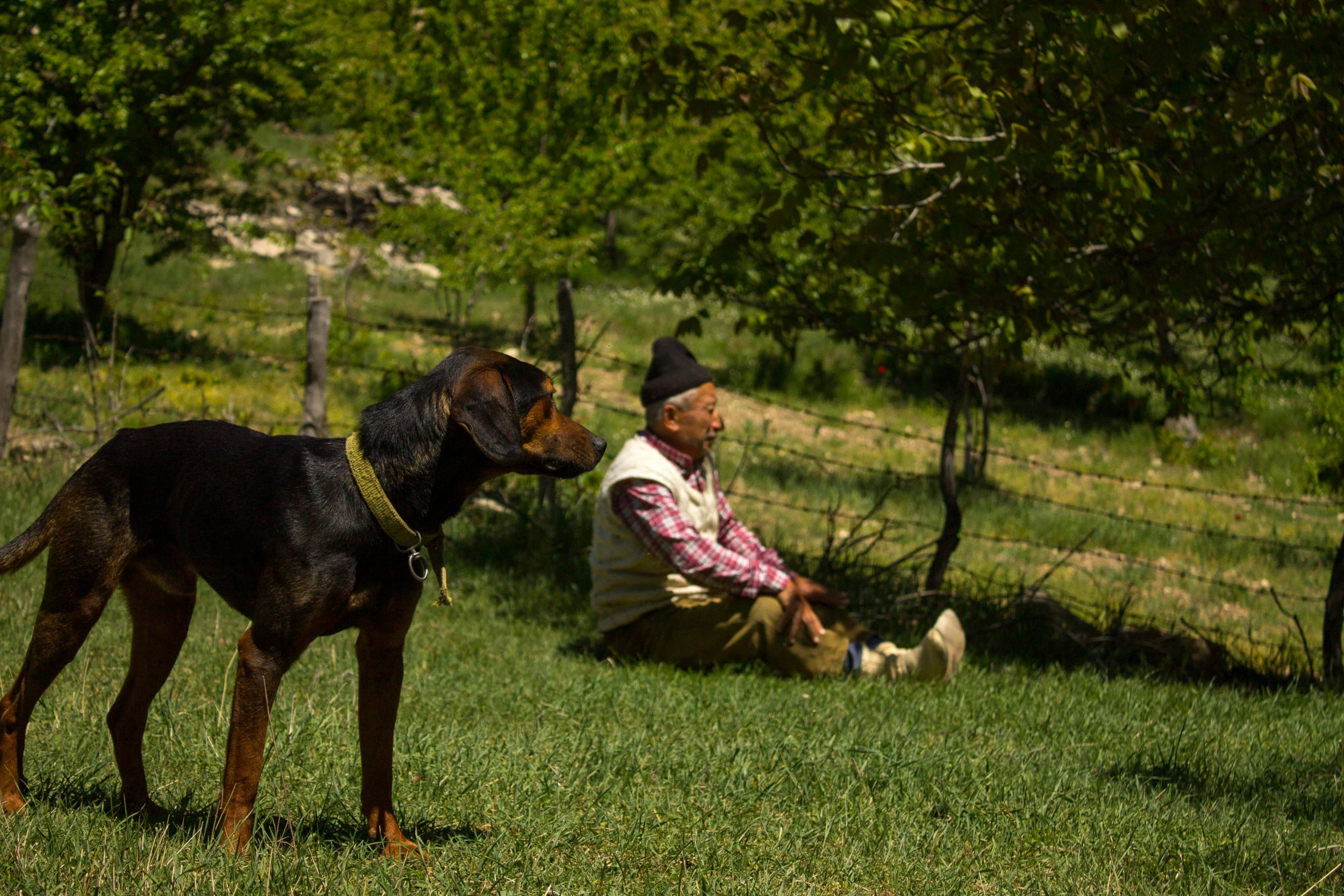 a man sitting on the ground next to a dog in a field