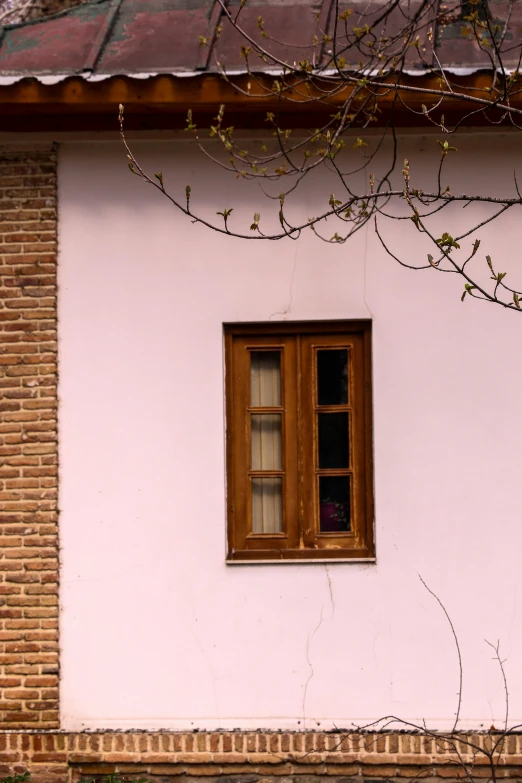 a view of a building's window and the side of it