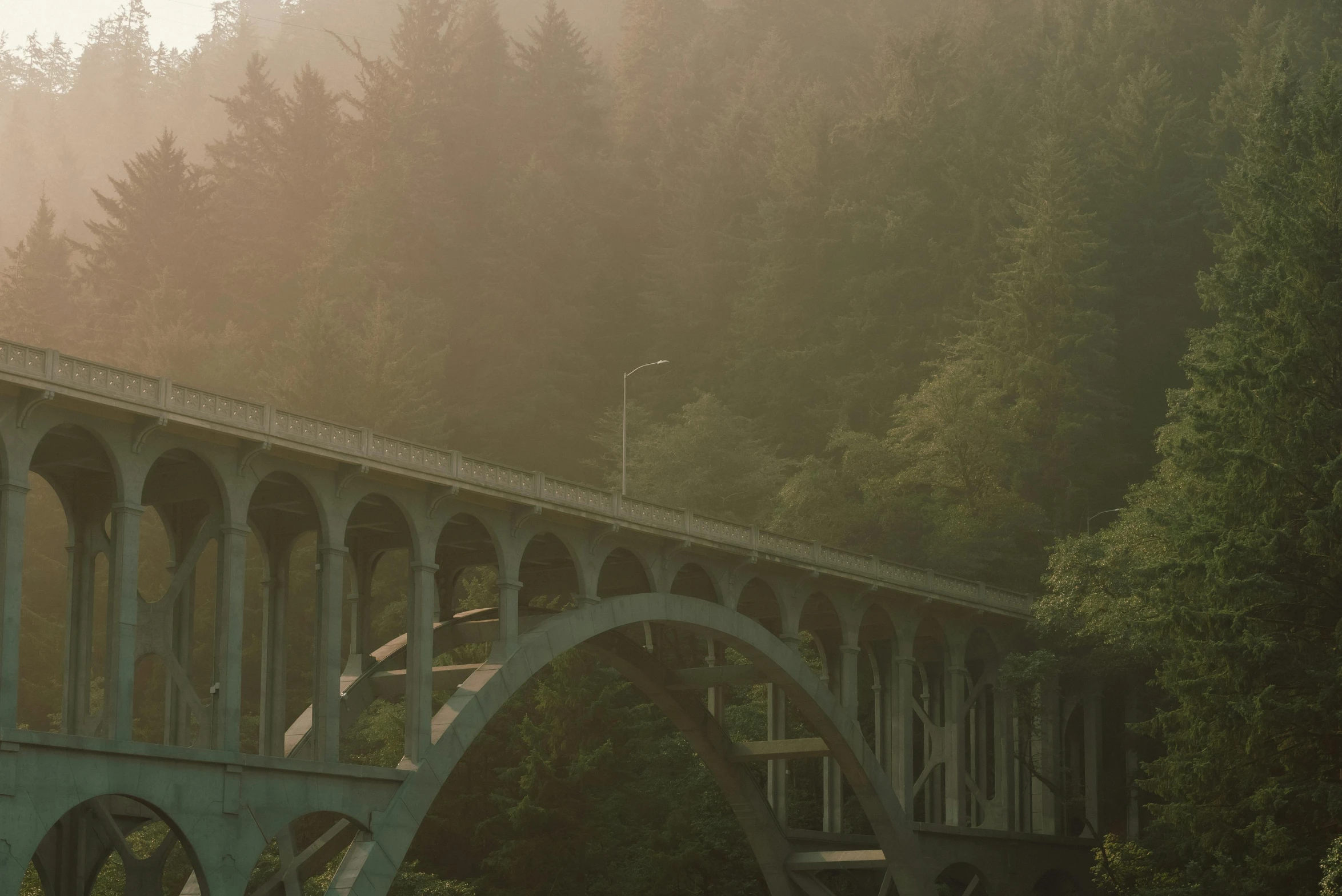 a train bridge on a foggy day with a view of trees