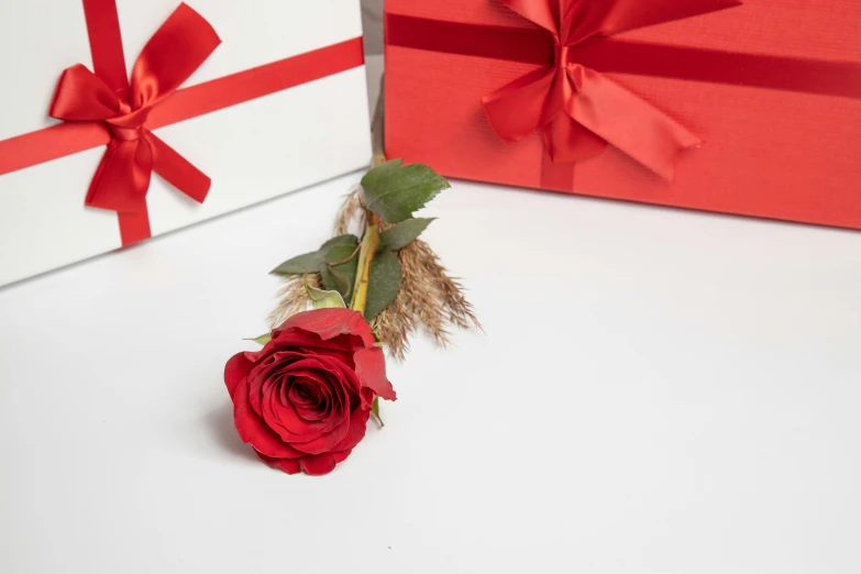 a red rose sitting in front of some wrapped presents