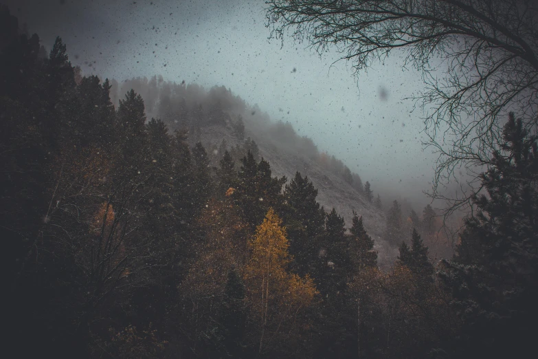 view from the bottom of a snowy mountain with trees below