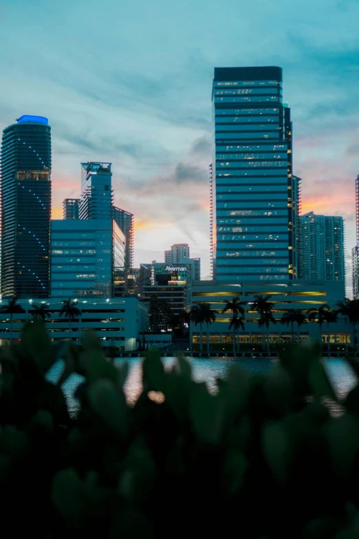 tall city buildings and a blue ocean at twilight