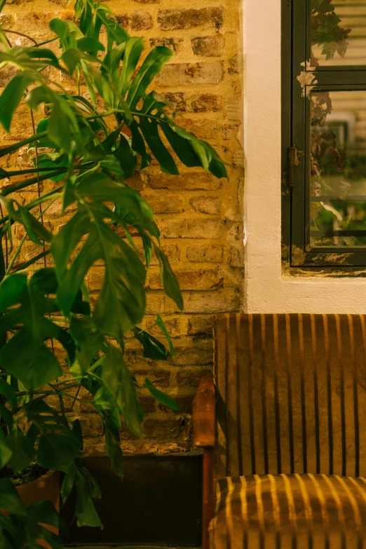 a brown and white bench a window and some plants