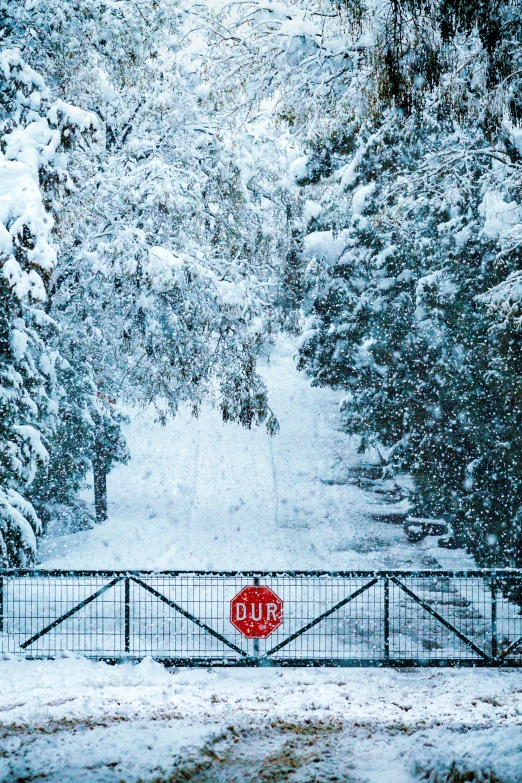 a metal bridge near a park in the winter