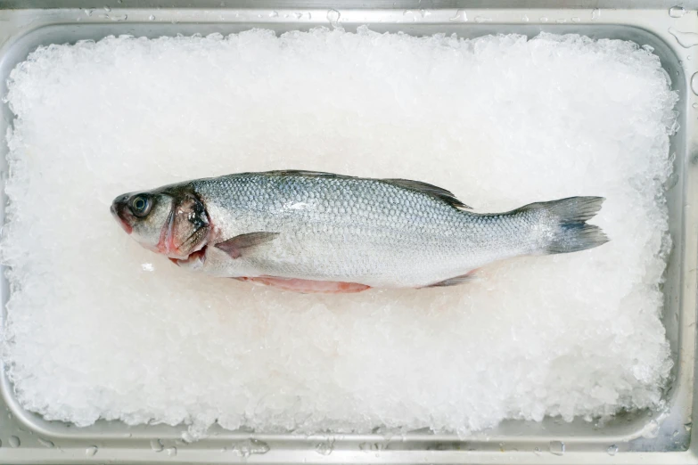 the fish is on ice in the metal pan