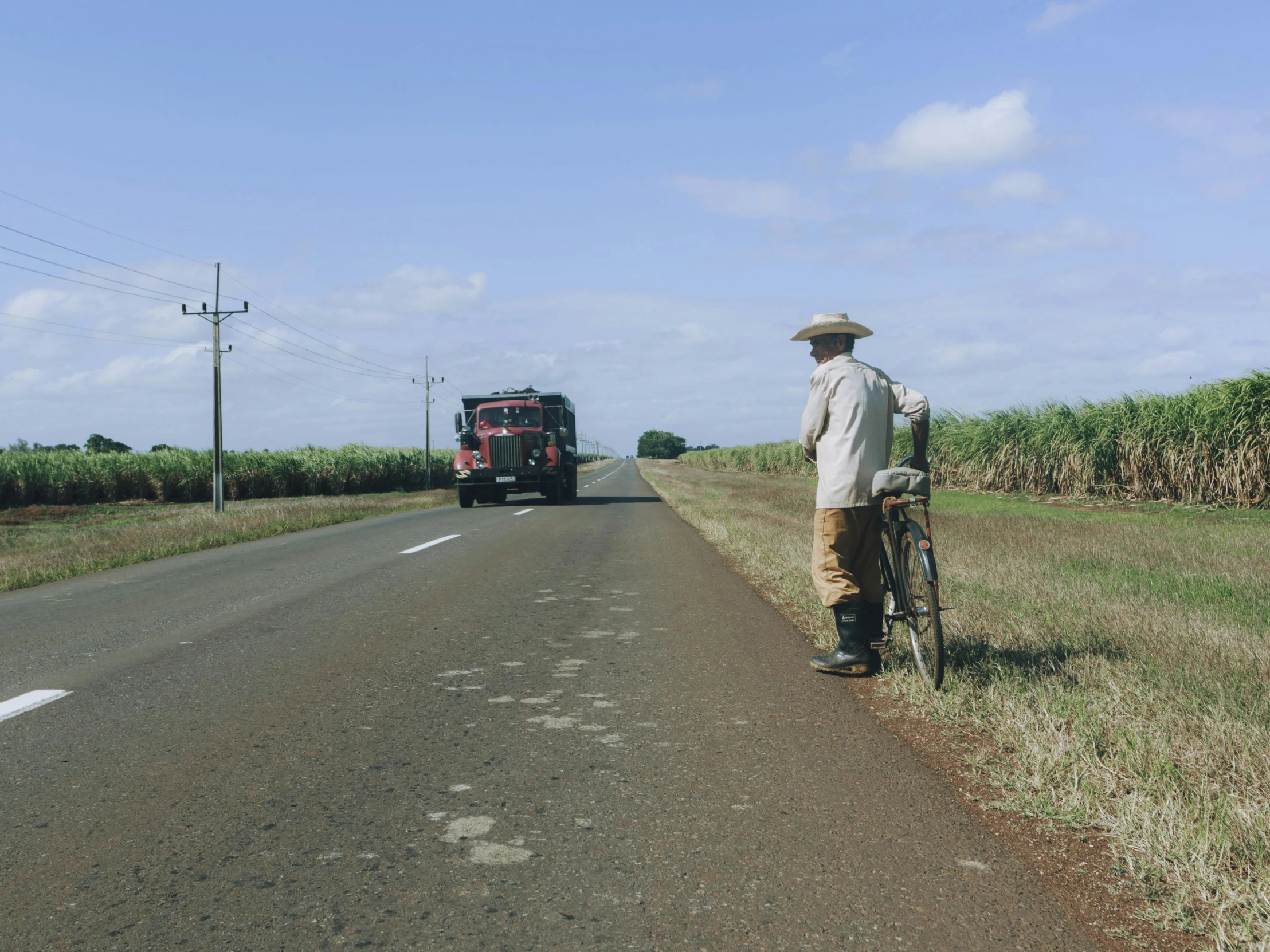 a man with a bicycle waits for traffic on a cornfield road