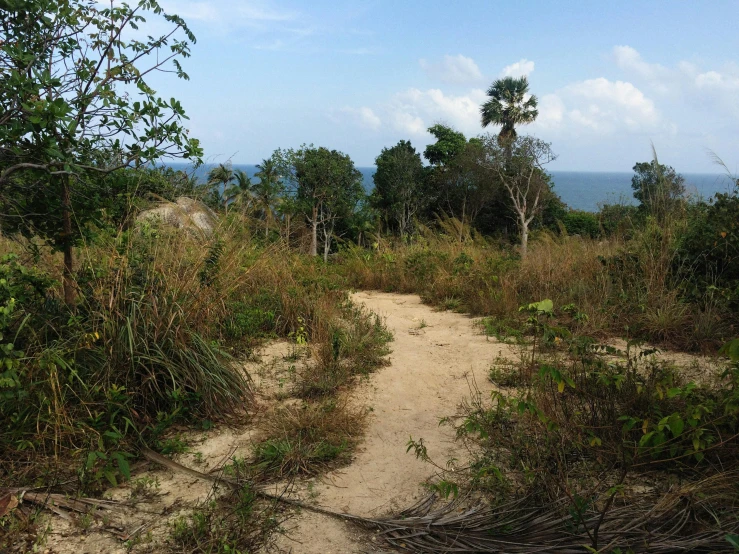 there is a pathway that looks to be very deserted