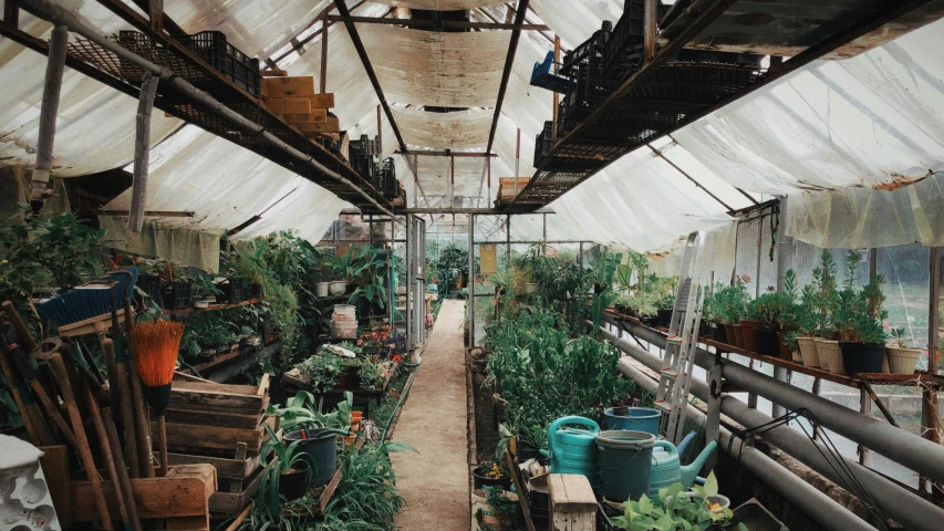 a greenhouse with lots of plants inside a building